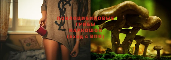 крисы Баксан