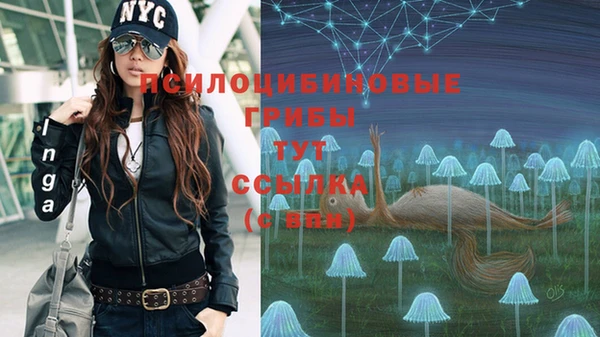 молекула духа Балахна
