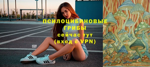 крисы Баксан