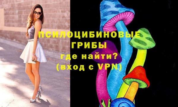 крисы Баксан