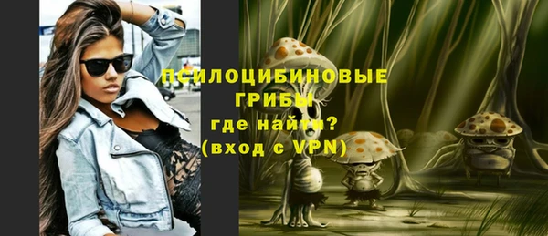 крисы Баксан