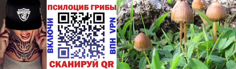 Галлюциногенные грибы GOLDEN TEACHER  OMG   Балабаново 