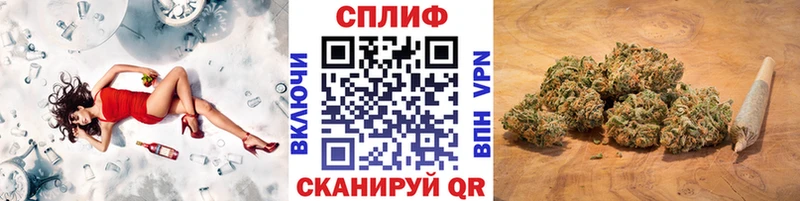 Канабис гибрид Балабаново
